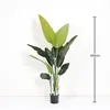 Verde compatto 160 cm