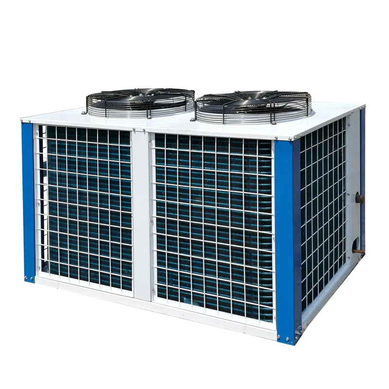 Cold Room Refrigeration Compressor Racks, Low Temperature Piston Parallel Condensing Unit for Fishery