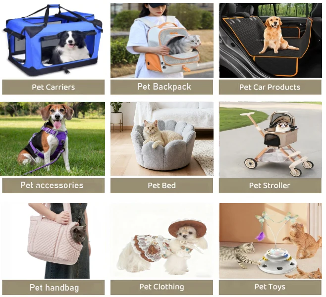 H02c23130178942a788c3f4754a57f00bh