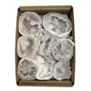 agate geode