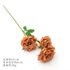 Coral color