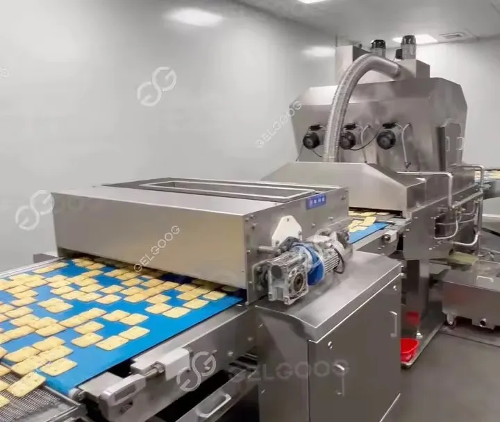 Gelgoog China Bakery Electric Oven Plasm Biscuit Making Machine Rectangular Almond Biscuit Forming Machine