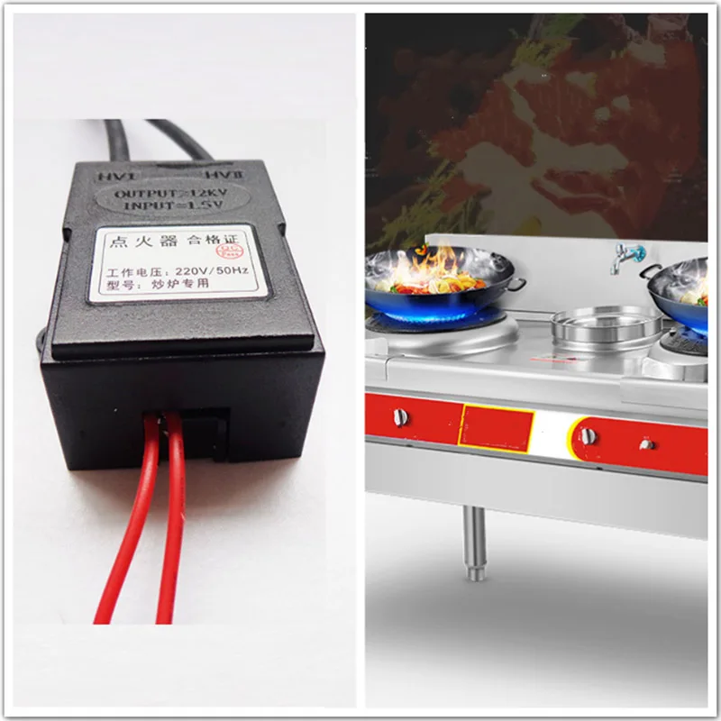 220V Electronic Pulse Gas Stove Igniter High Voltage Power Transformer Flyback Toplogy 50Hz Frequency Made of Plastic