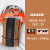 RACE 29X2.25 TR Fold