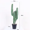 Bonsái de cactus de cinco puntas y tres cabezas de 60 cm