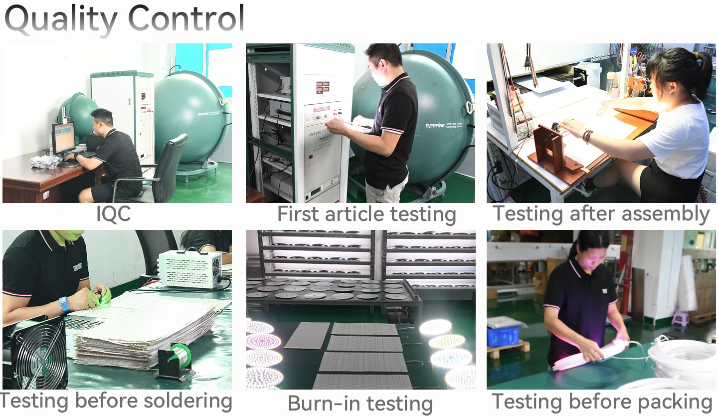 12V 10mm  High CRI Bi-Color LED Strip 2835 240led/m CCT tunable Ra95 led ribbon