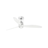 White+White