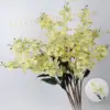 Yellowish drooping jasmine branch