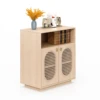Armoire de rangement en rotin d'orme