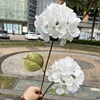 2 heads of xiyan hydrangea white