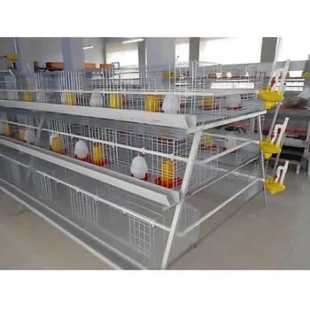 Poultry Farming  A Type 10000 Layer Chickens Farm Bird Layer Cage For Sale