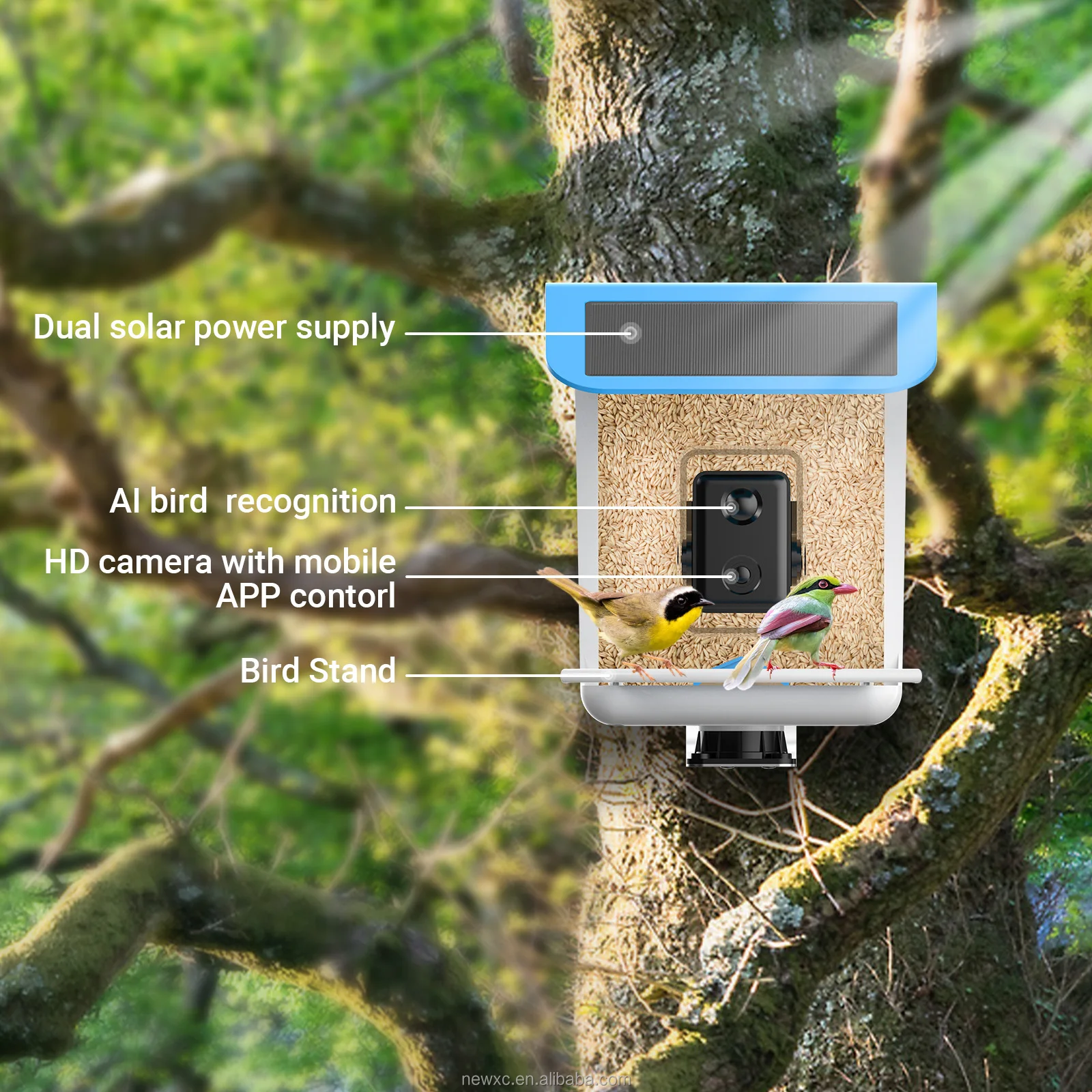 Customized Smart Bird House Watching Feeder Camera Ai Recognizes Bird Species Smart Bird Feeder