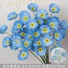 Blue three-headed poppy branch