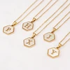 MJN20722-hexagon shell