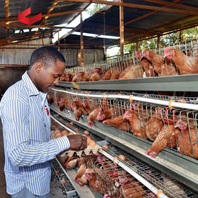 Discount Poultry House Design for Layers in Kenya Farm