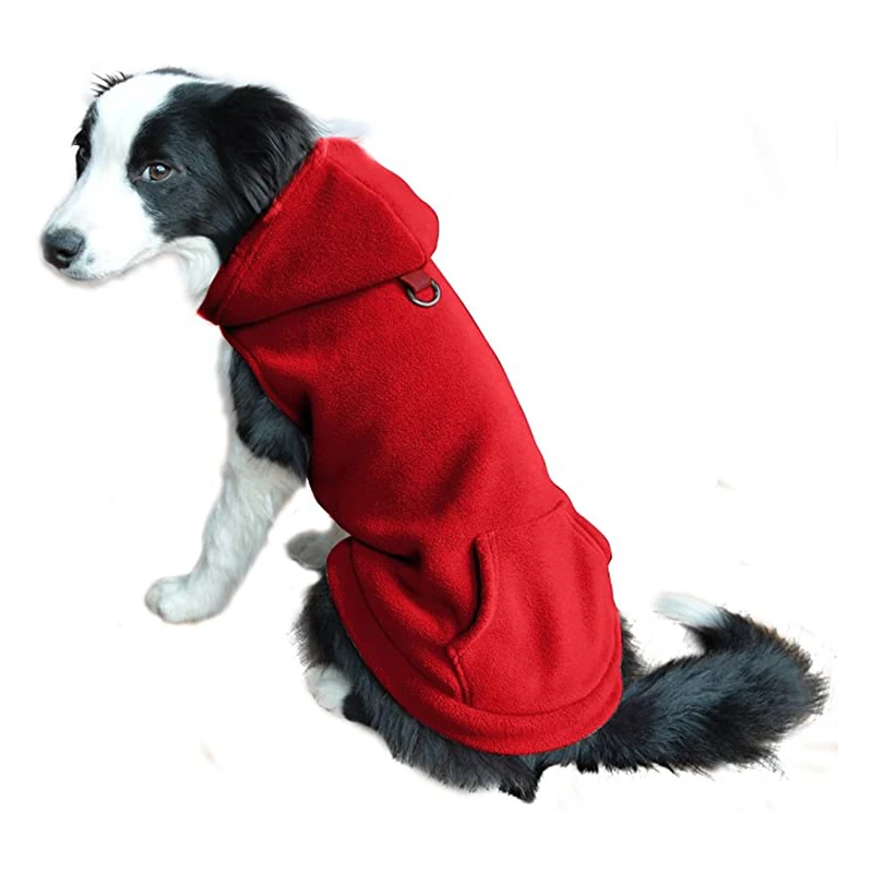 moschino dog coat