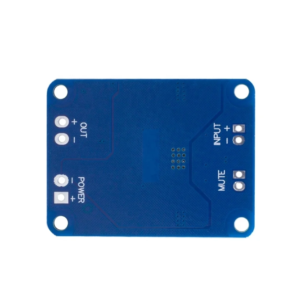 XH-M313 TPA3118 Mono Audio Power Amplifier Board - Reliable 60W