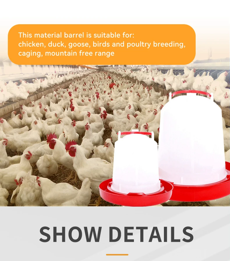 Automatic Poultry Feeders And Drinkers Poultry Cage Drinker Chicken