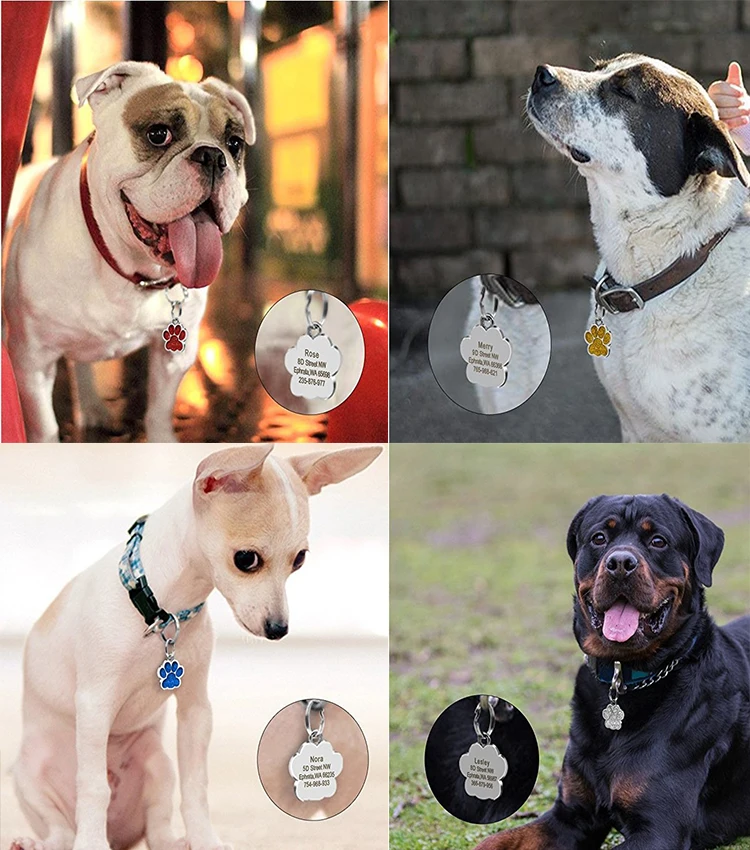 Personalized puppy dog name tag stainless steel sublimation laser collar dog tags name pet blank dog tag manufacture