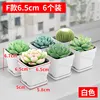 White F style, 6.5cm, 6-pack