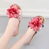 Rose corail