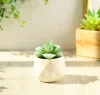 Olla de diamante verde Dahuo Jin