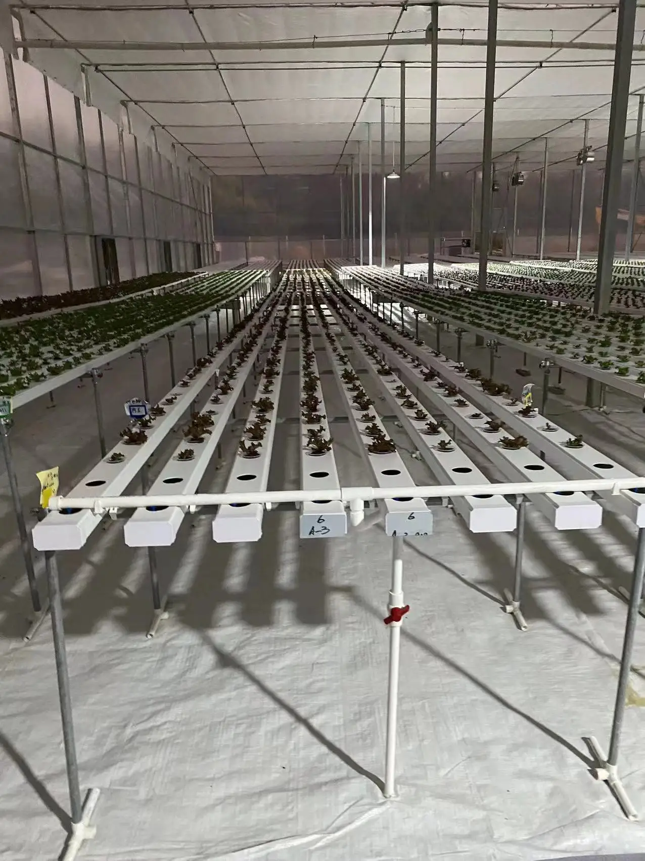 Food Grade Pvc Pipe Nft Channel Hydroponic Growing System Nft Pipes Hydroponics Buy Nft