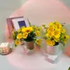 Daisy Style A - Without Pot