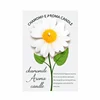 White-Daisy
