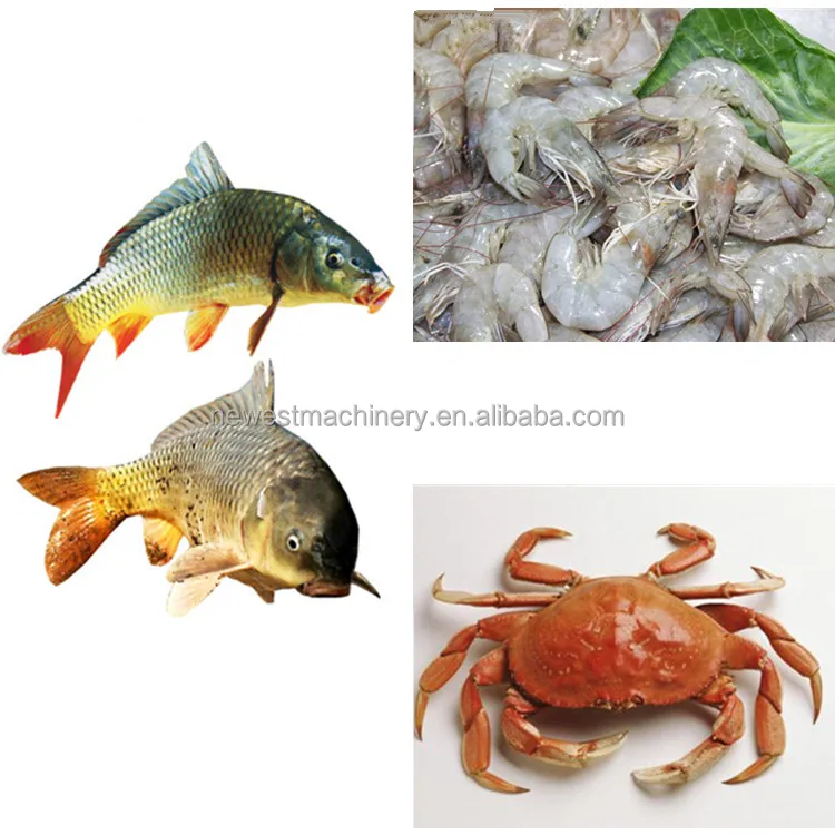 New Arrival Crab Meat Extractor Separating Machines