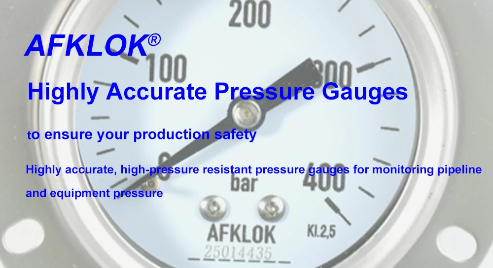 Stainless Steel Low Pressure Mpa PSI Bar Pressure Gauge Manometer