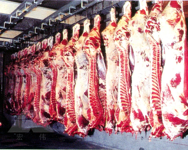 Butchers Meat Hanging Rails for Slaughterhouse