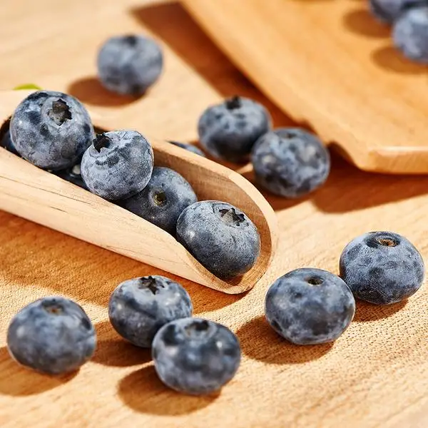 a grade frozen fresh blueberry food frozen fruit bulk organic