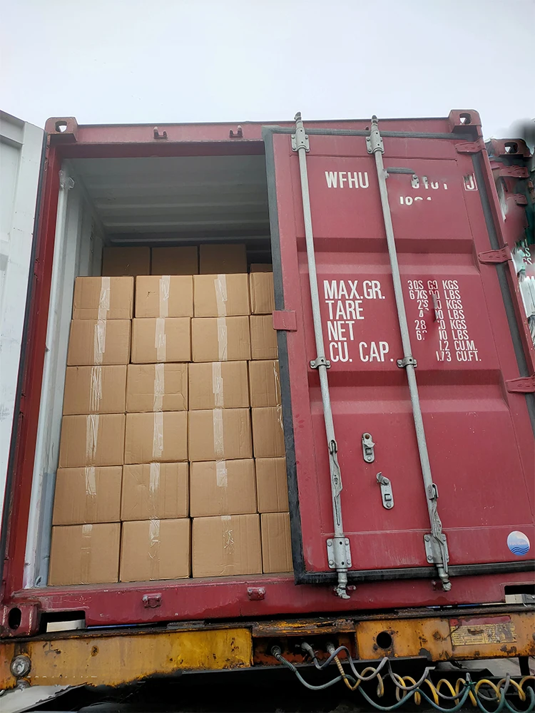 Disposable Laundry Wire Hangers For Cloths Steel Hangers Iron Wire Coat