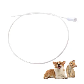 animal catheter 8fr dog cat veterinary urethral catheter with luer lock