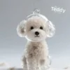 White Teddy