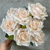 Champagne rosa