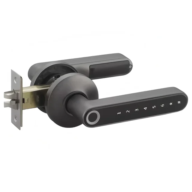 Digital Lock TTLock Australia Security Door Digital Lock AU Standard Security Door Lock