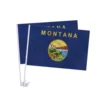 Montana Flags