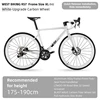 Rueda de carbono blanco-XL