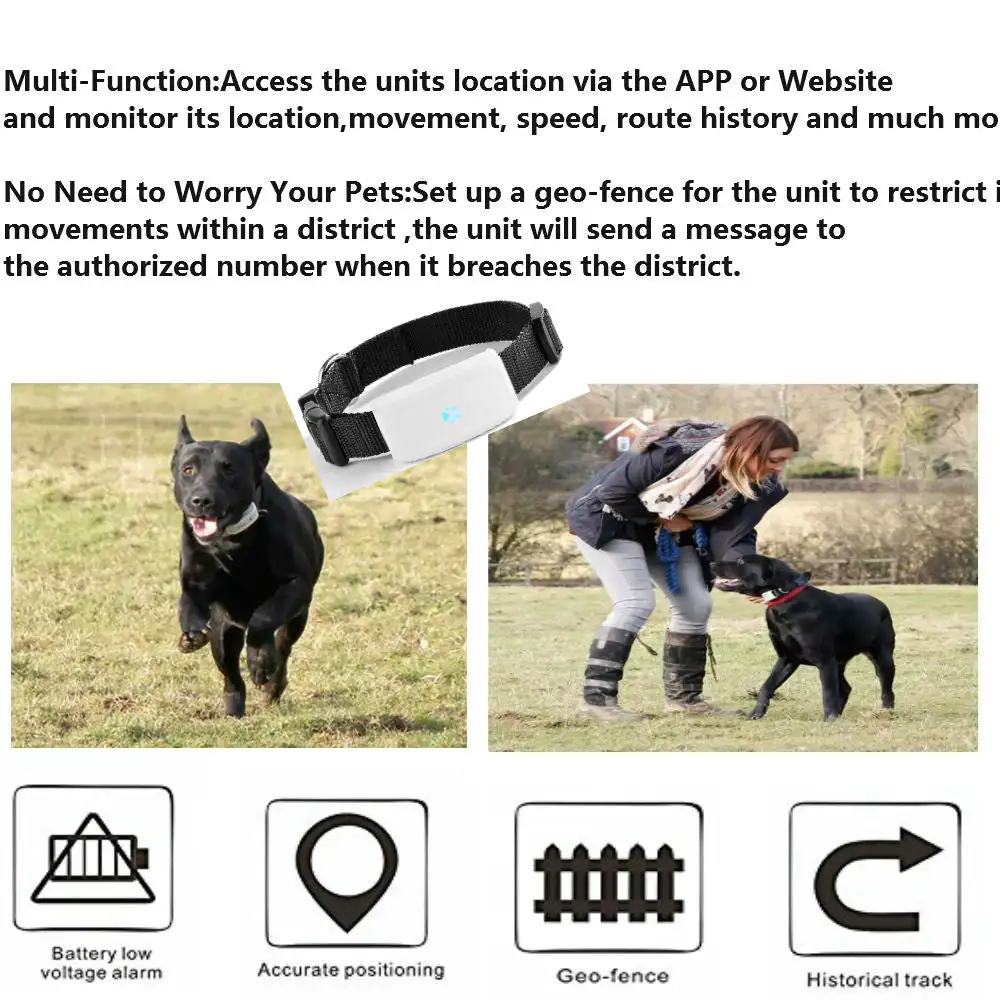 TK911 Tkstar Cat  GPS Tracker Wifi Mini Pet tracker World Smallest Dog Collar Tracking Pet Long Battery Life Platform Winnes App