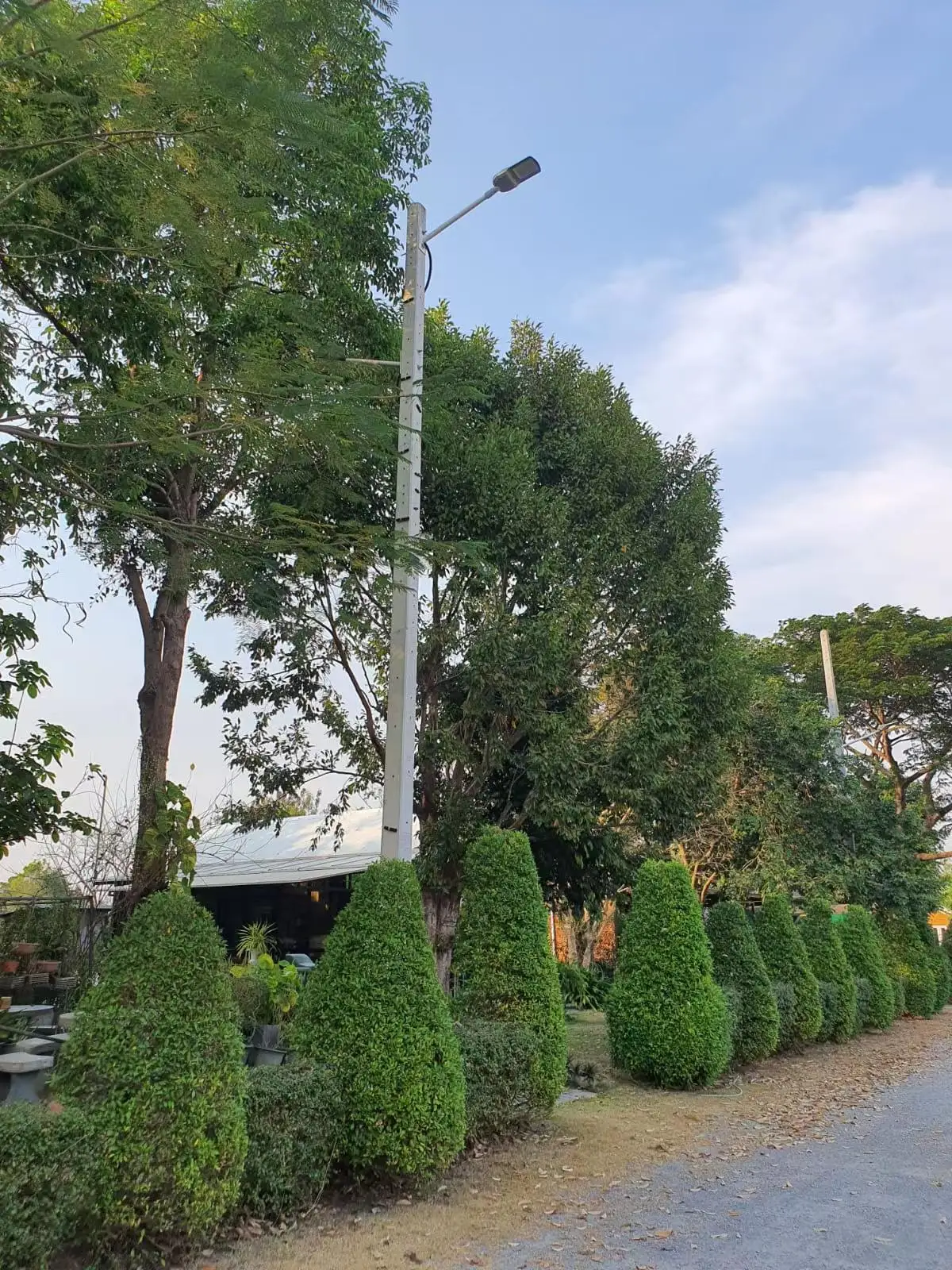 Aluminum Alloy Street LED Light IP66 Waterproof 130LM/W High Efficiency 19