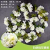 Rayas de flores de cerezo blancas