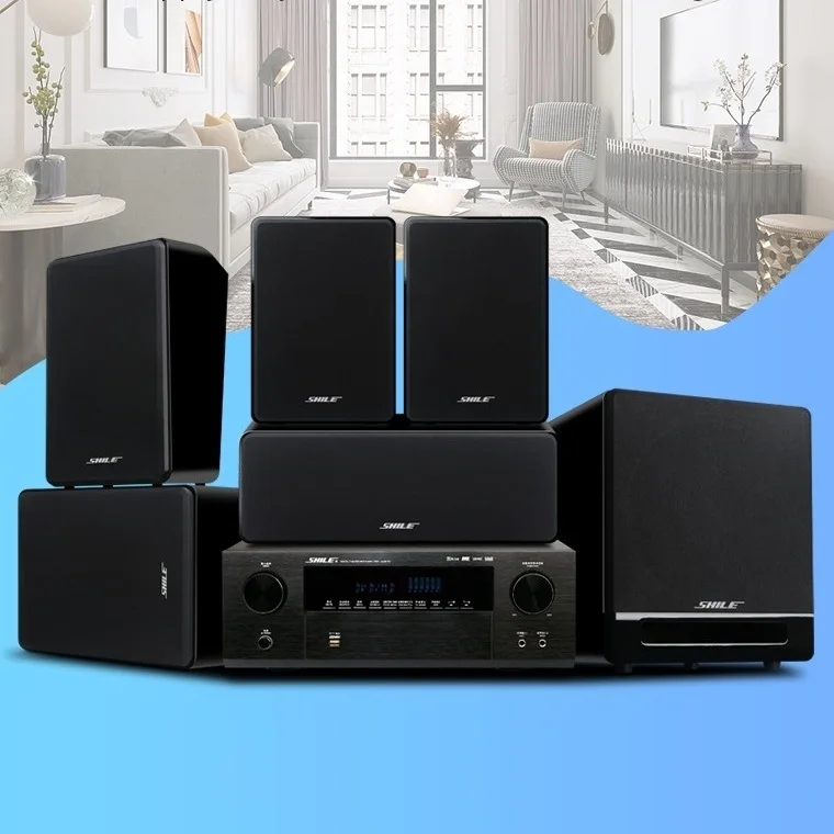 SHILE KTV Music Subwoofer Amplifier Surround Sound