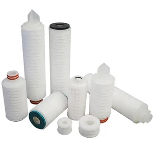 0.2 Micron Pleated Ptfe PP Cartridge Filter for Filter Housing With 226/222 Flat/Fin