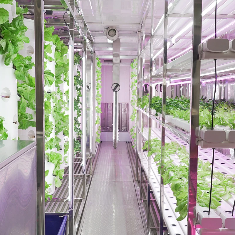 Smart Hydroponics Shipping Container Farm Vertical Tower Farming Containers Hydroponic Growing Systems for Vegetable