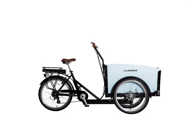 3 Wheel Electric Cargo Bike Used For 