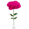 Rosa acceso senza supporto