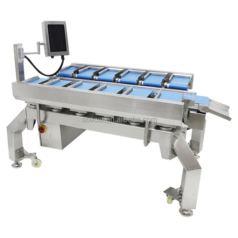 Semi automatic Table-top Dataweigh Combination scale  weigher for beef