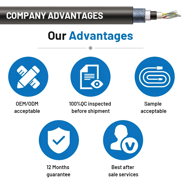 Custom-made Medical Smart Home Equipment Cable 24P Connector Complete Cable Assembly PTFE PVC Insulation Electronic Wire Harness
